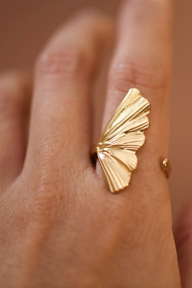 Fan Ring