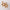Gold star-shaped earrings on a light gray background